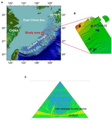 Diversity of Anaerobic Methane Oxidizers in the Cold Seep Sediments of the Okinawa Trough